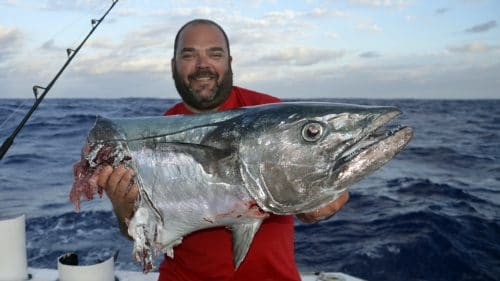 Doggy cut by shark - www.rodfishingclub.com - Rodrigues - Mauritius - Indian Ocean