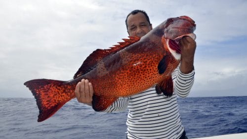 Good red corail trout on jigging - www.rodfishingclub.com - Rodrigues - Mauritius - Indian Ocean