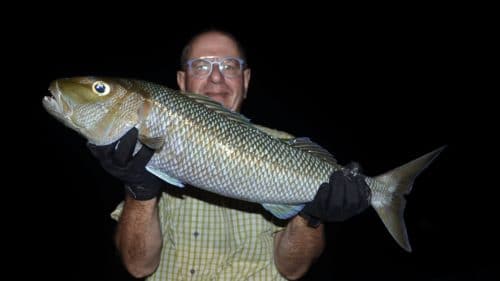 Jobfish-on-jigging-www.rodfishingclub.com-Rodrigues-Mauritius-Indian-Ocean