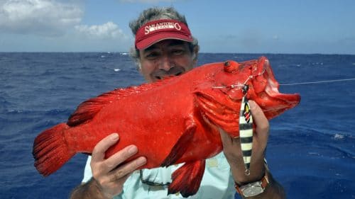 Mama rouge en slow jigging par Marc - www.rodfishingclub.com - Rodrigues - Maurice - Océan Indien