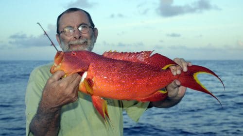 Moontail sea bass on jigging - www.rodfishingclub.com - Rodrigues - Mauritius - Indian Ocean