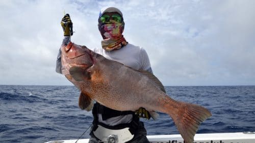 Nice red corail trout on jigging - www.rodfishingclub.com - Rodrigues - Mauritius - Indian Ocean