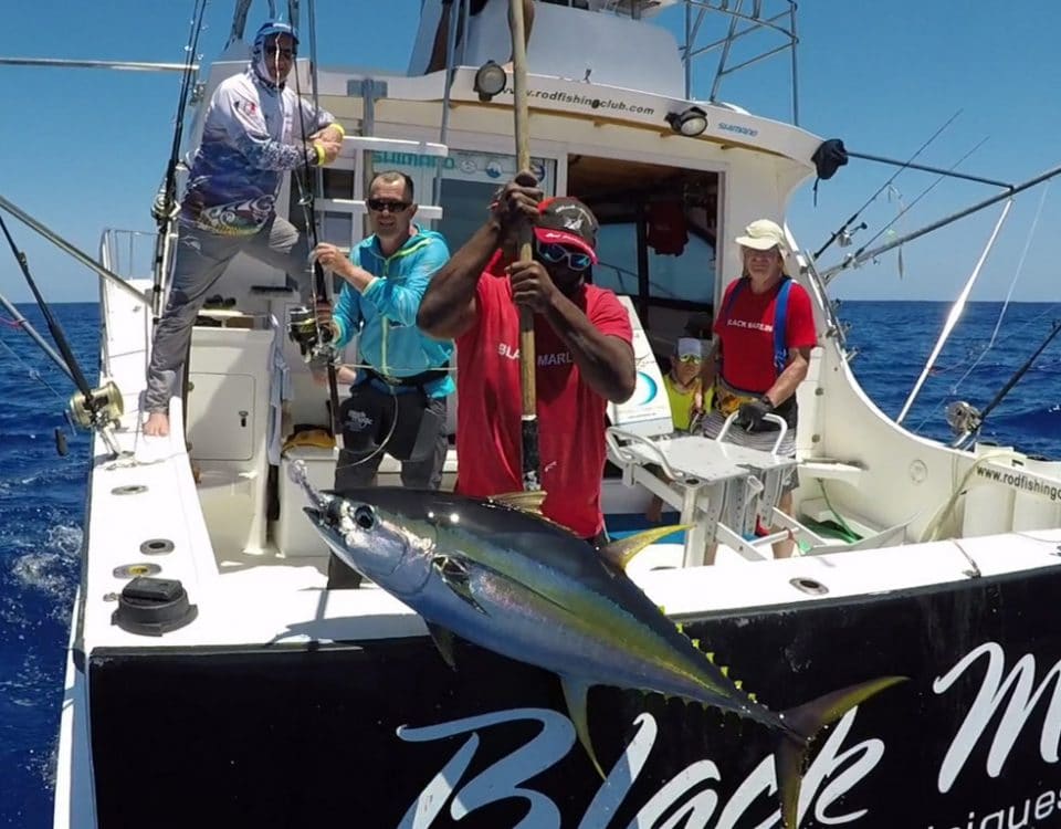 Nice yellowfin tuna on X Rap heavy spinning - www.rodfishingclub.com - Rodrigues - Mauritius - Indian Ocean