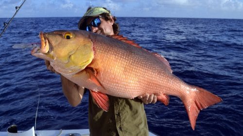 Red snapper on trolling on a rapala X Rap - www.rodfishingclub.com - Rodrigues - Mauritius - Indian Ocean