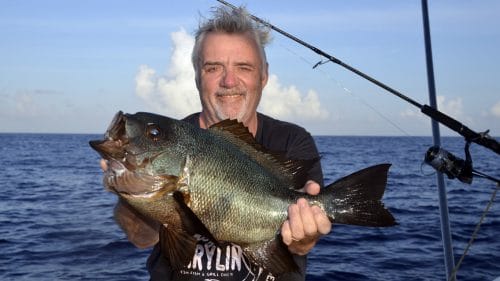 eabream on jigging - www.rodfishingclub.com - Rodrigues - Mauritius - Indian Ocean