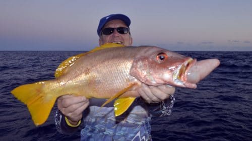 Snaper on jigging - www.rodfishingclub.com - Rodrigues - Mauritius - Indian Ocean