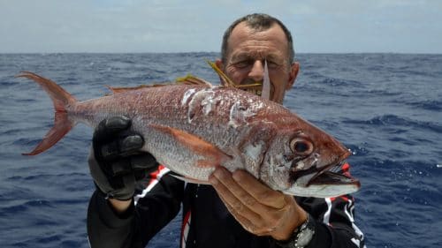 Snapper on jigging - www.rodfishingclub.com - Rodrigues - Mauritius - Indian Ocean