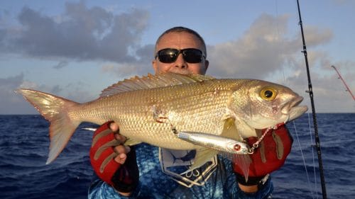 Snapper on slow jigging by Chetib - www.rodfishingclub.com - Rodrigues - Mauritius - Indian Ocean