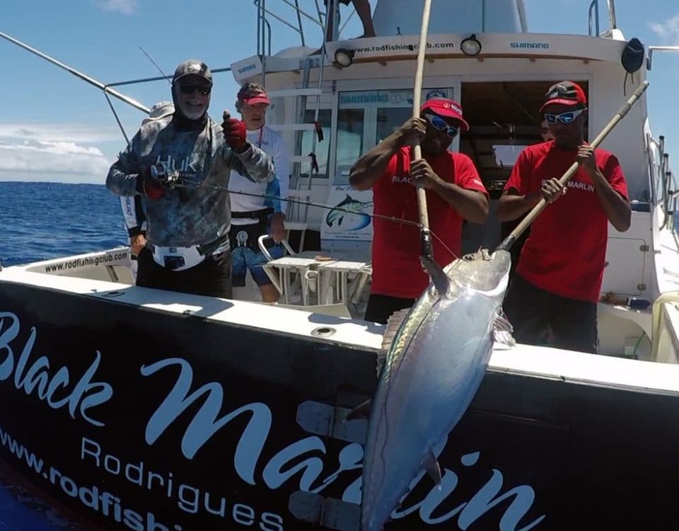 Thon dents de chien en slow jigging - www.rodfishingclub.com - Rodrigues - Maurice - Océan Indien