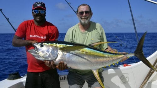 Thon jaune en peche a la traine par Pascal - www.rodfishingclub.com - Rodrigues - Maurice - Ocean Indien