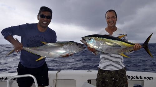 Thons jaunes en peche a la traine - www.rodfishingclub.com - Rodrigues - Maurice - Océan Indien