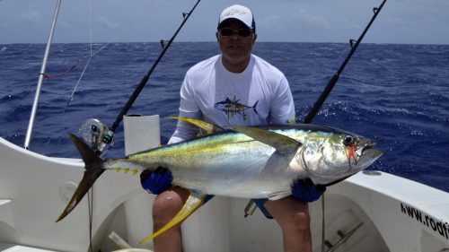 Beau thon jaune en peche a la traine par Khaled - www.rodfishingclub.com - Rodrigues - Maurice - Océan Indien