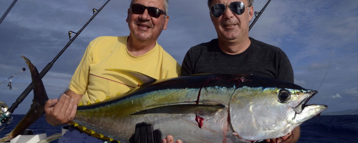 Beau thon jaune en peche a la traine - www.rodfishingclub.com - Rodrigues - Maurice - Océan Indien