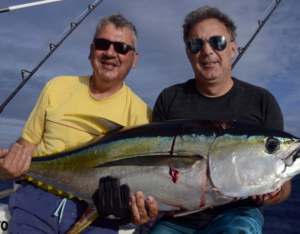 Beau thon jaune en peche a la traine - www.rodfishingclub.com - Rodrigues - Maurice - Océan Indien