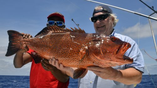 Big grouper on baiting - www.rodfishingclub.com - Rodrigues - Mauritius - Indian Ocean