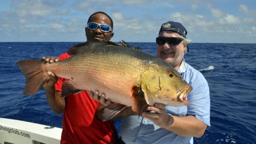 Big red snapper on baiting - www.rodfishingclub.com - Rodrigues - Mauritius - Indian Ocean