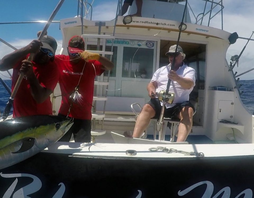 Big yellowfin tuna on trolling - www.rodfishingclub.com - Rodrigues - Mauritius - Indian Ocean