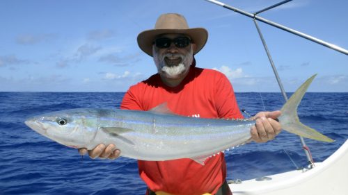 Coureur arc en ciel en peche a l appat - www.rodfishingclub.com - Rodrigues - Maurice - Océan Indien