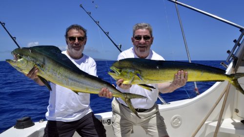 Dorados caught on trolling - www.rodfishingclub.com - Rodrigues - Mauritius - Indian Ocean