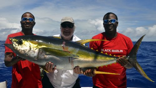 Gros thon jaune en peche a la traine - www.rodfishingclub.com - Rodrigues - Maurice -Ocean Indien