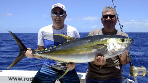 Joli thon jaune en peche a la traine - www.rodfishingclub.com - Rodrigues - Maurice - Océan Indien