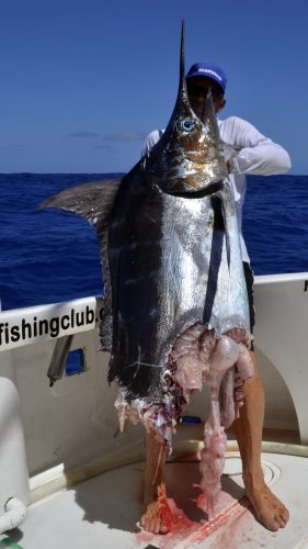 Marlin bleu coupé par un requin - www.rodfishingclub.com - Rodrigues - Maurice - Océan Indien