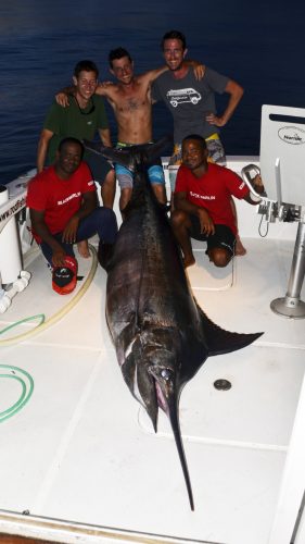 Marlin bleu mort au bateau - www.rodfishingclub.com - Rodrigues - Maurice - Ocean Indien