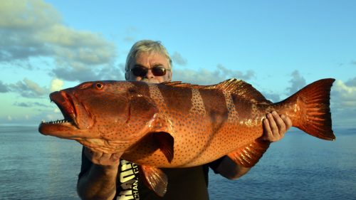 Mérou babone en peche a l appat - www.rodfishingclub.com - Rodrigues - Maurice - Océan Indien