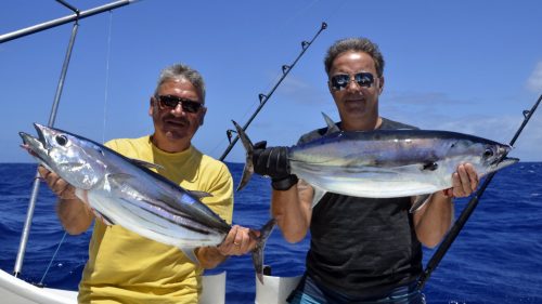 Nice skipjack tunas on trolling - www.rodfishingclub.com - Rodrigues - Mauritius - Indian Ocean