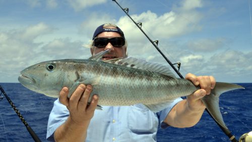 Poisson poulet en peche a l appat - www.rodfishingclub.com - Rodrigues - Maurice -Ocean Indien