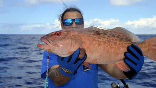Red corail trout on jigging by Mathieu - www.rodfishingclub.com - Rodrigues - Mauritius - Indian Ocean