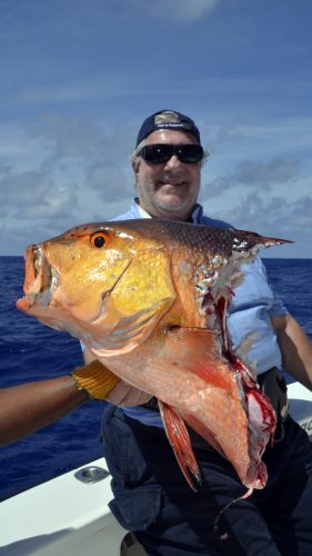 Red snapper attacked by shark - www.rodfishingclub.com - Rodrigues - Mauritius - Indian Ocean