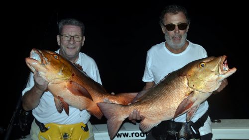 Red snappers on baiting - www.rodfishingclub.com - Rodrigues - Mauritius - Indian Ocean