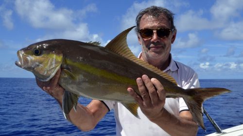 Seriole en peche au jig - www.rodfishingclub.com - Rodrigues - Maurice - Océan Indien