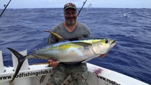 Thon jaune en peche a la traine par Adam - www.rodfishingclub.com - Rodrigues - Maurice - Océan Indien