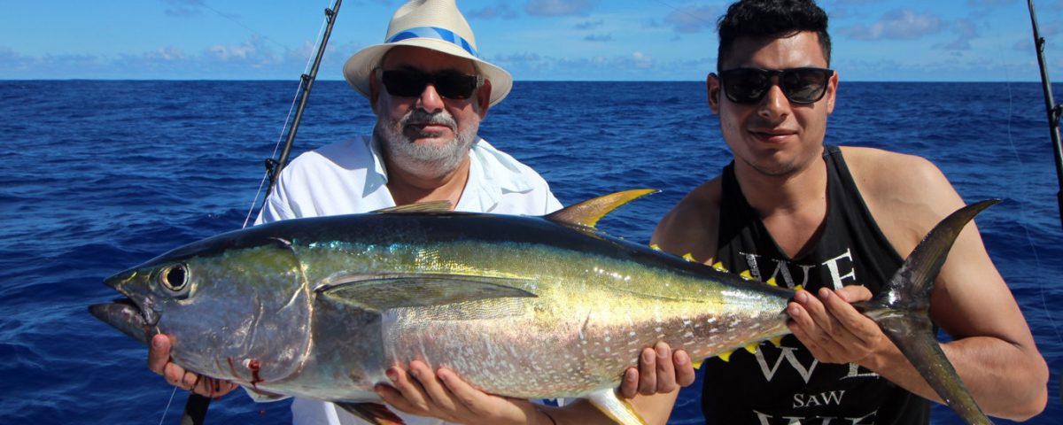 Thon jaune en peche a la traine par Raian - www.rodfishingclub.com - Rodrigues - Maurice - Océan Indien