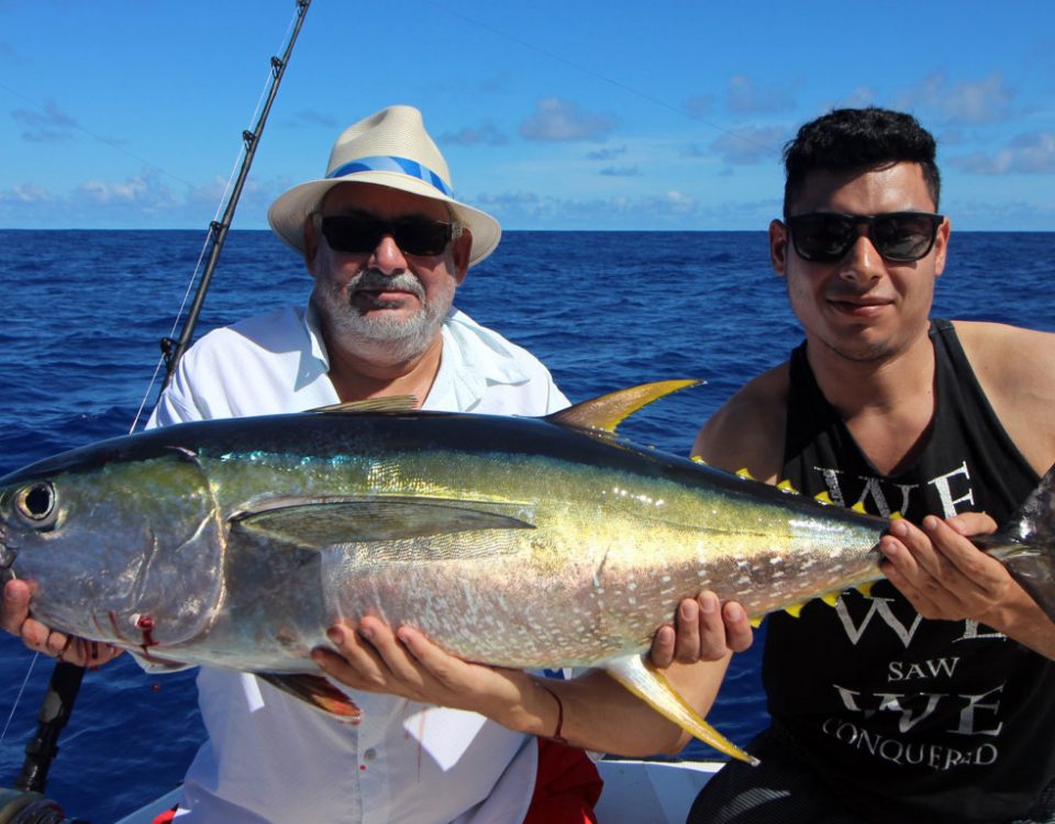 Thon jaune en peche a la traine par Raian - www.rodfishingclub.com - Rodrigues - Maurice - Océan Indien