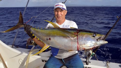 Thon jaune en peche a la traine - www.rodfishingclub.com - Rodrigues - Maurice - Océan Indien