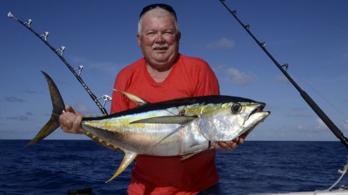 Thon jaune pris en peche a la traine - www.rodfishingclub.com - Rodrigues - Maurice - Océan Indien