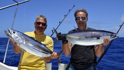 Thons skipjack ou listao en peche a la traine - www.rodfishingclub.com - Rodrigues - Maurice - Océan Indien