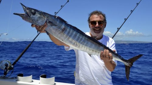 Wahoo en peche a la traine par Jean Luc - www.rodfishingclub.com - Rodrigues - Maurice - Océan Indien