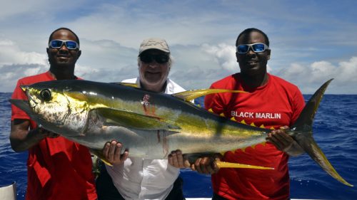 Yellowfin tuna on trolling - www.rodfishingclub.com - Rodrigues - Mauritius - Indian Ocean